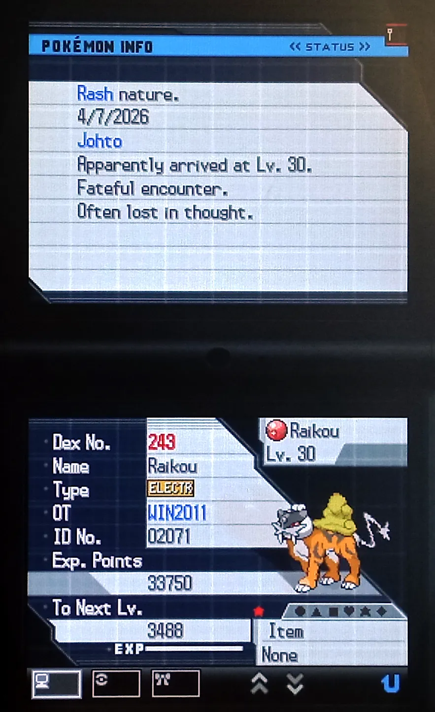Shiny Raikou in Pokémon Black 2.